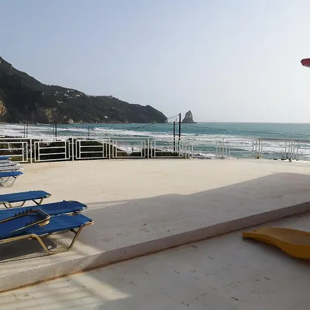 Palace Resort فندق
